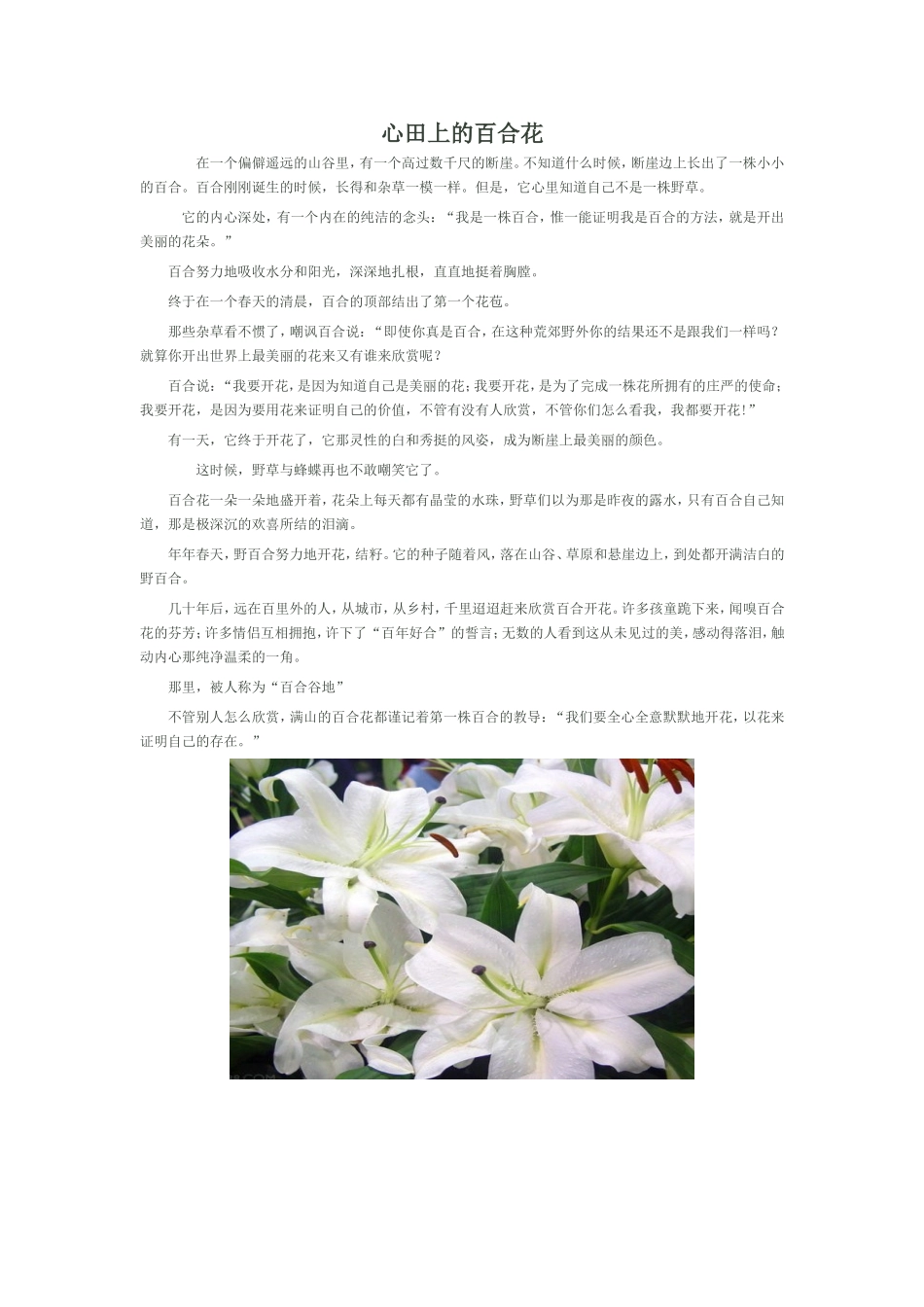 心田上的百合花 (2)_第1页