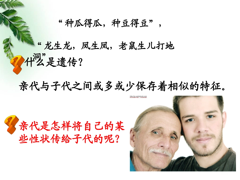 遗传因子的发现_第2页