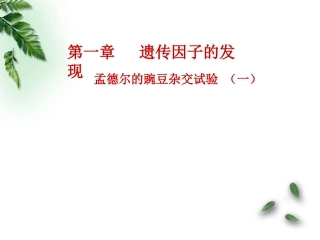 遗传因子的发现