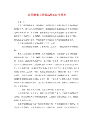 公司新员工培训总结500字范文 