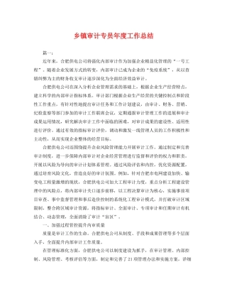 乡镇审计专员年度工作总结 