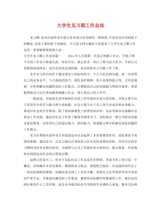 大学生见习期工作总结 