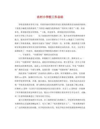 农村小学校工作总结 