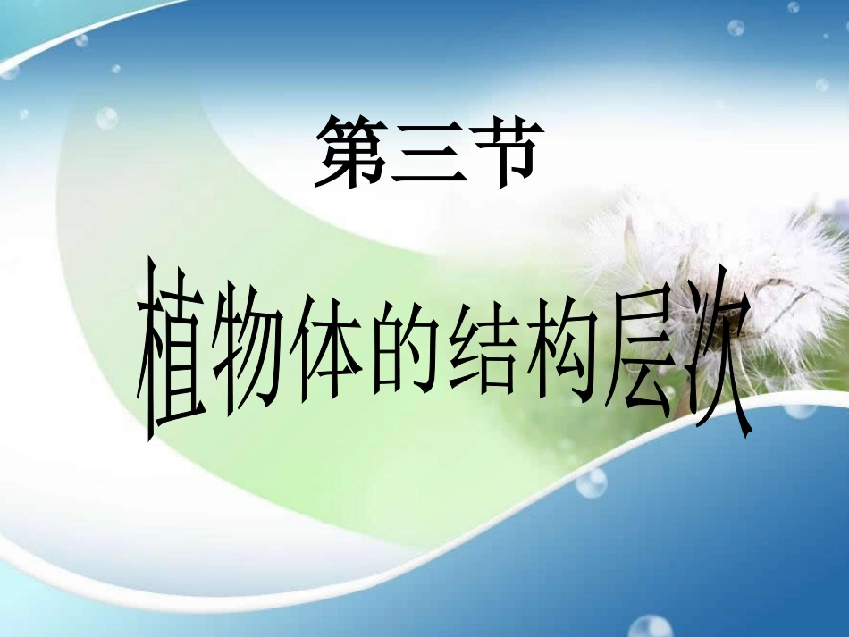 植物体的结构层次_第3页