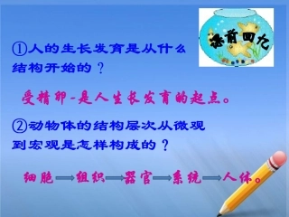 植物体的结构层次