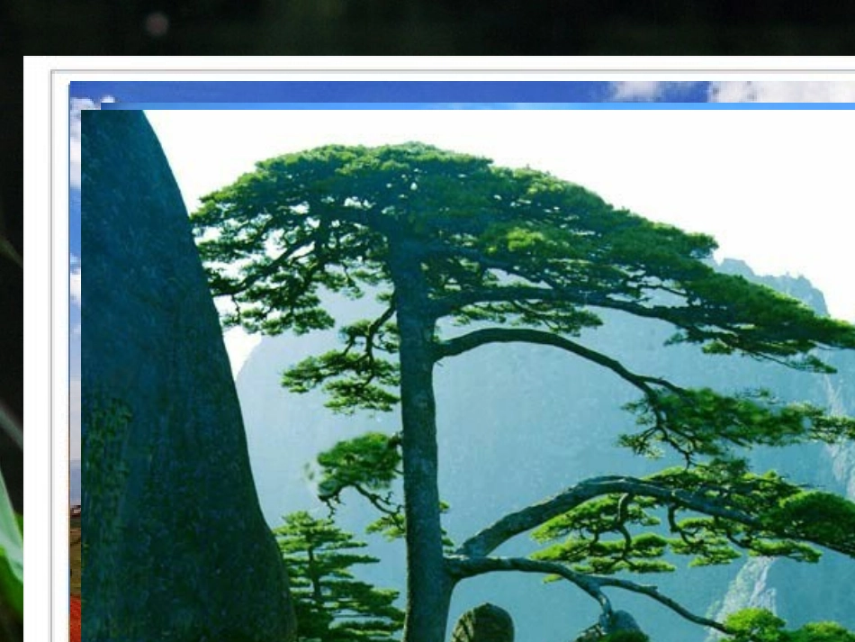 生物--北师大版七年级上：第7章第2节_我国的植物资源课件_第3页