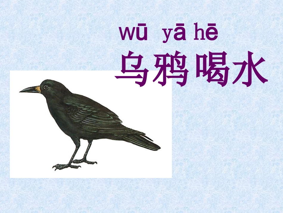 乌鸦喝水课件_第2页