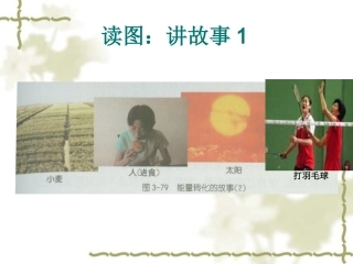 能的转化和守恒定律