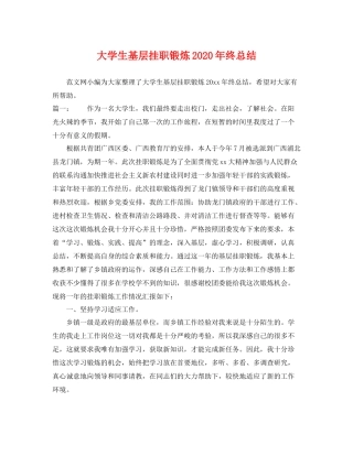 大学生基层挂职锻炼2020年终总结 