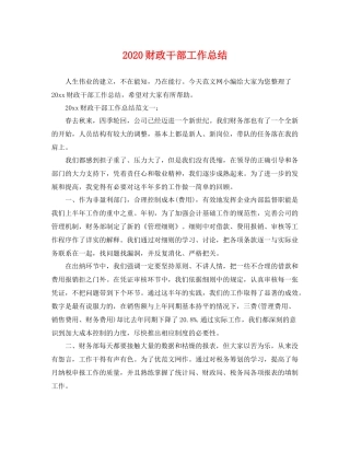 财政干部工作总结 