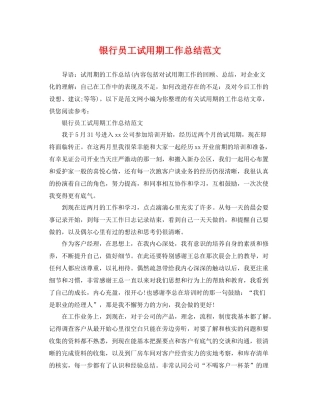 银行员工试用期工作总结范文 