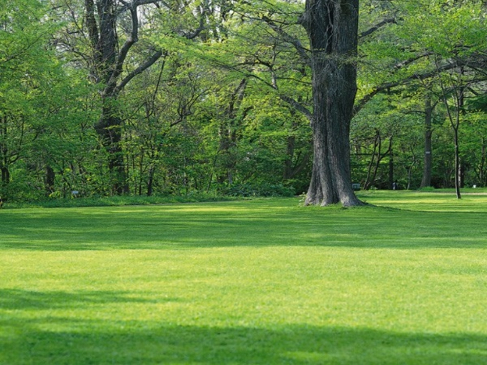 （石）特别的作业（一）_第2页