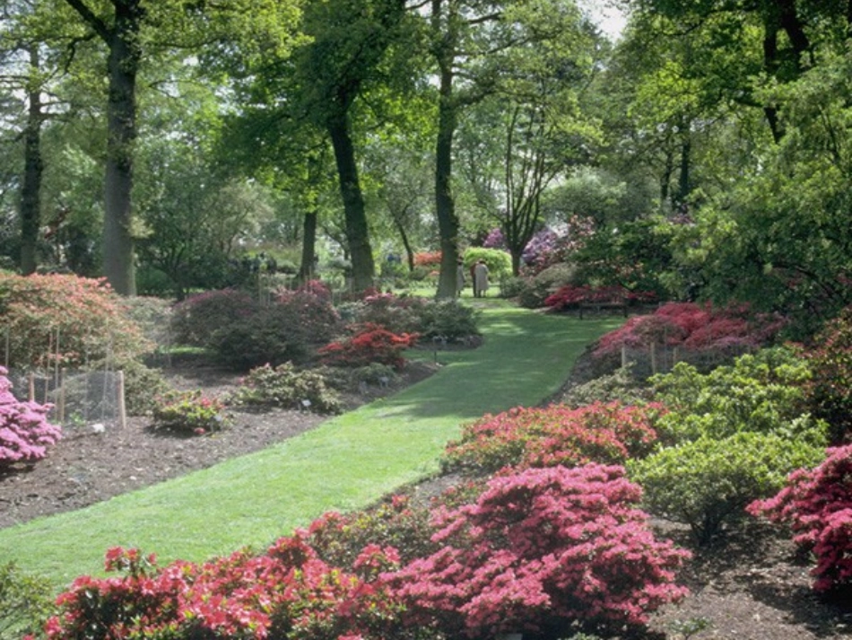 （石）特别的作业（一）_第3页