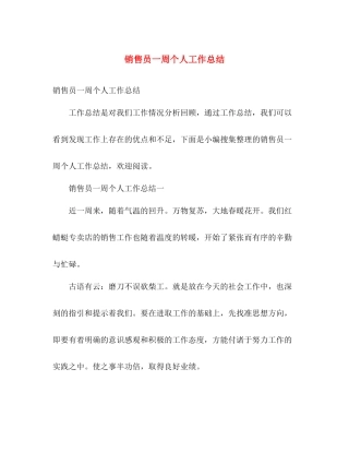 销售员一周个人工作总结 
