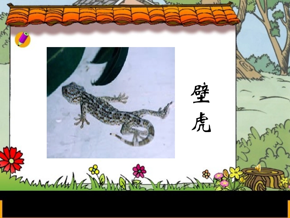 小壁虎借尾巴2_第2页