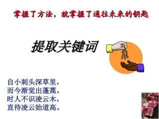 如何提取关键词