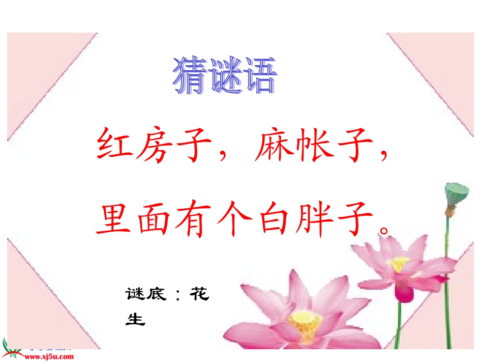 一年级语文下册《小松鼠找花生_1》PPT课件_第3页