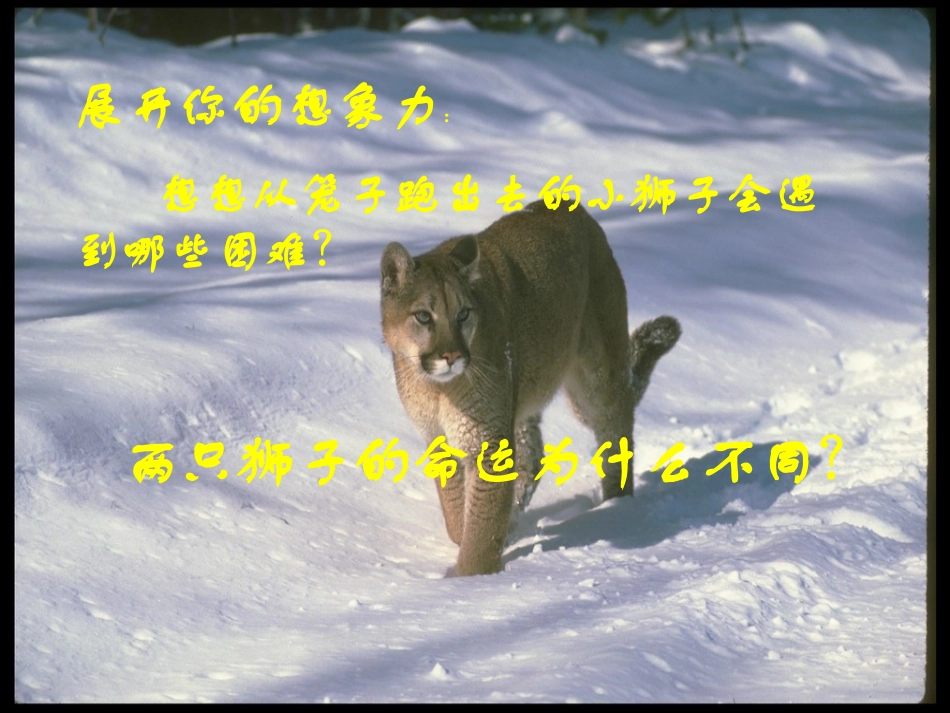 （定稿）第三课第一节：走向自立人生_第2页