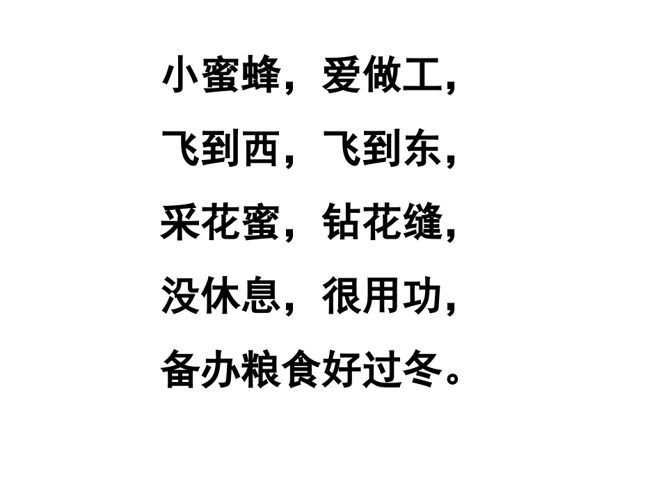 三年级上册14、蜜蜂教学PPT课件_第1页