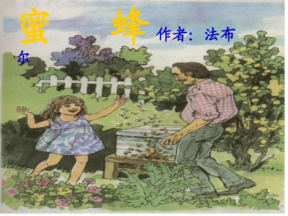 三年级上册14、蜜蜂教学PPT课件_第3页