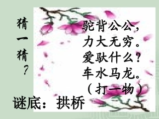 《中国石拱桥》实用课件