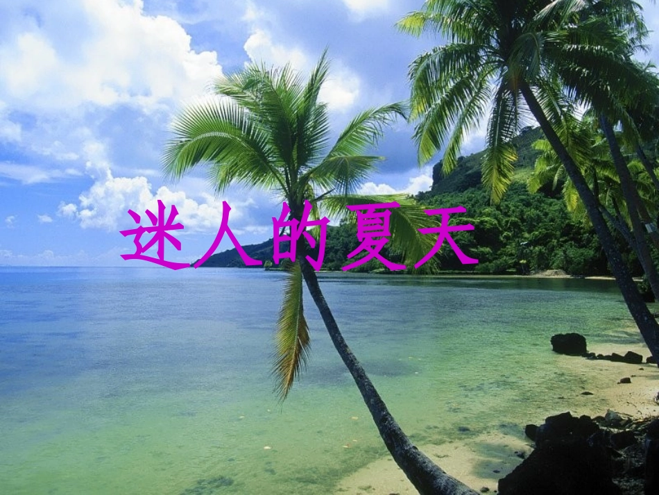 迷人的夏天（定稿）_第1页