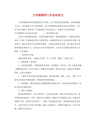 大学新教师工作总结范文 