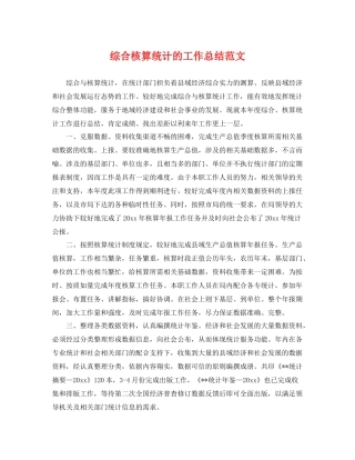 综合核算统计的工作总结范文 