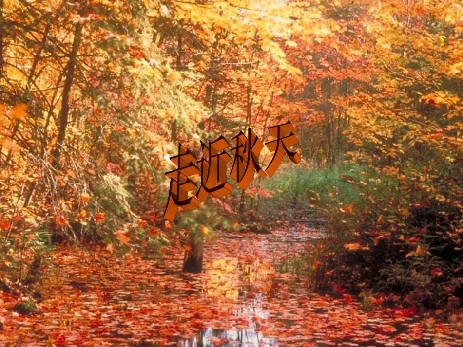 [课件]第二课故都的秋_第1页