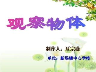 小2上观察物体