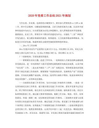 2020年党委工作总结2021年规划 