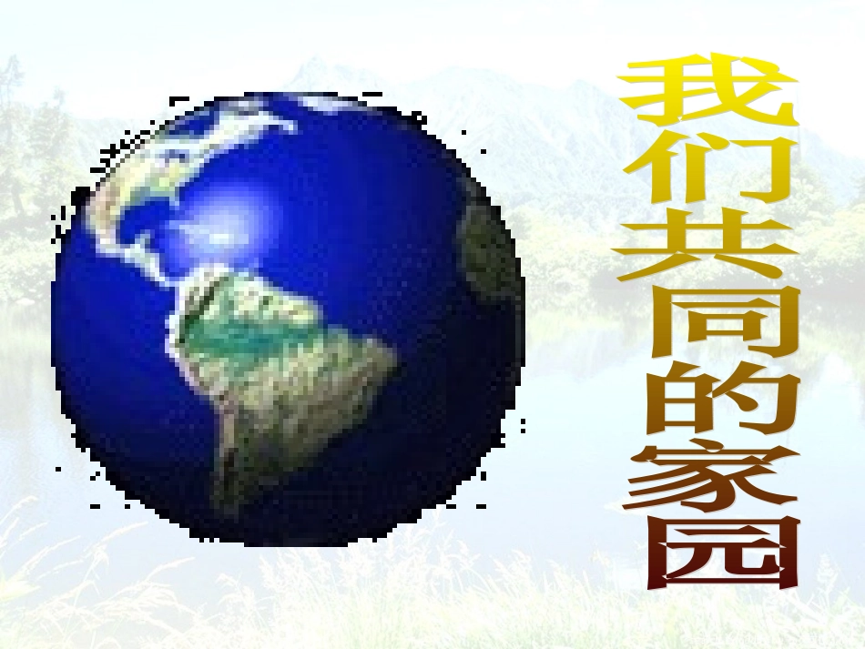 《可持续发展战略》_第2页