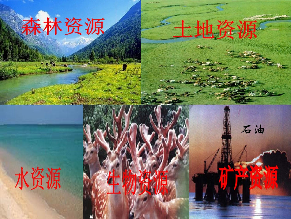 《可持续发展战略》_第3页