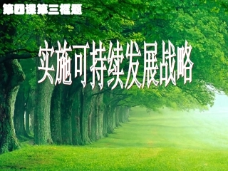《可持续发展战略》