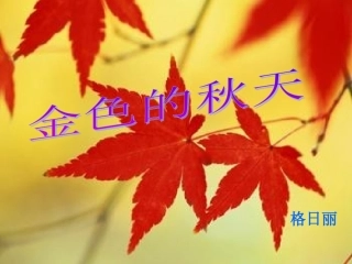 综合实践课件秋天的树叶