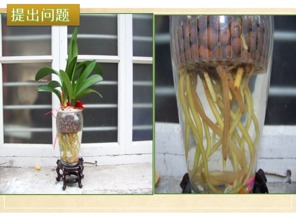 《ATP的主要来源—细胞呼吸》课件（3）_第3页