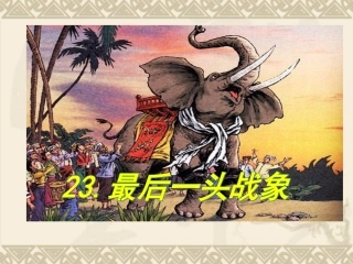 《最后一头战象》课件