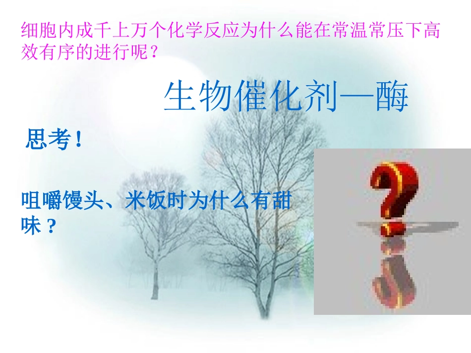 生物催化剂——酶_第2页