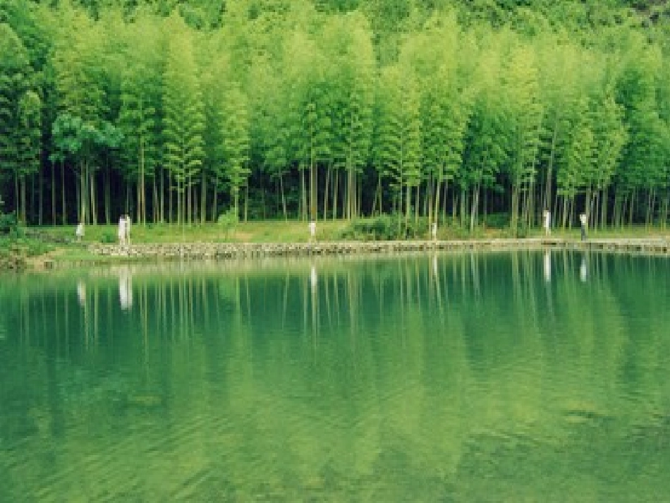 小小竹排画中游PPT课件2_第2页