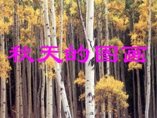 秋天的图画写话练习