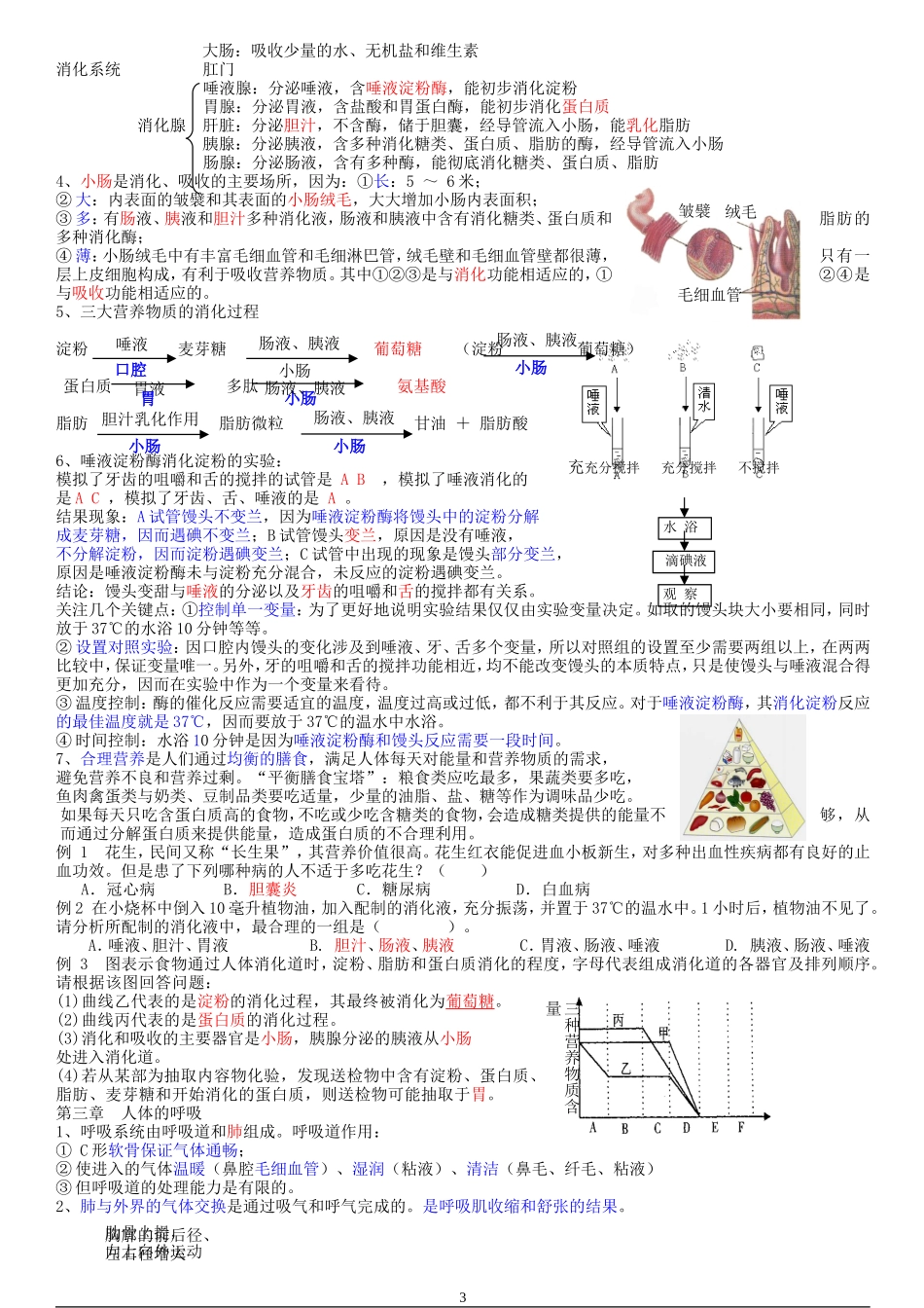 2013年生物中考总复习要点(A4打印版)_第3页