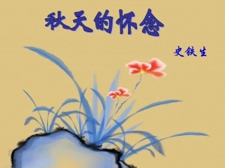 秋天的怀念课件