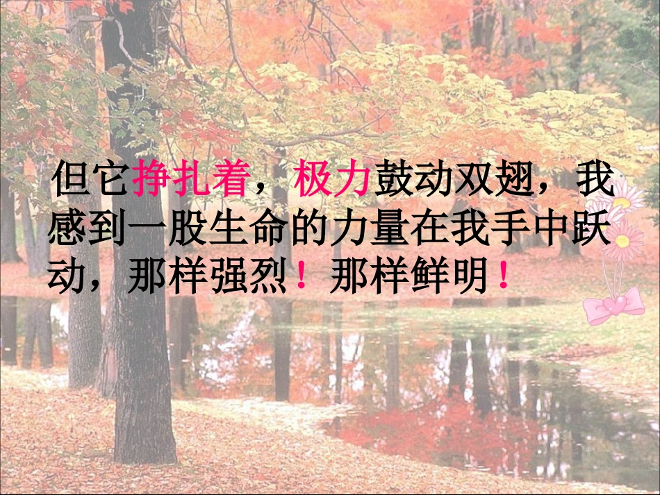 人教版四年级语文下册《生命生命》参赛课件_第3页