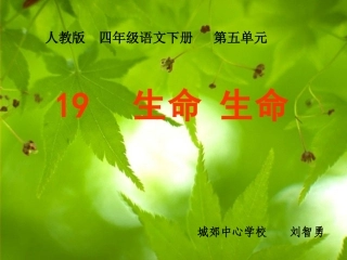 人教版四年级语文下册《生命生命》参赛课件