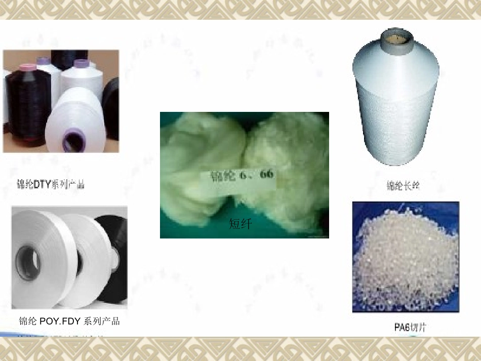 合成纤维第六章锦纶_第1页