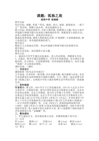 孤独之旅---张晓丽