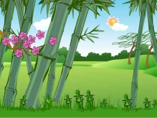 《笋芽儿》课件