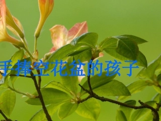 手捧空花盆的孩子