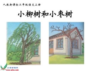 新课标人教版二年级语文上册《小柳树和小枣树》PPT课件