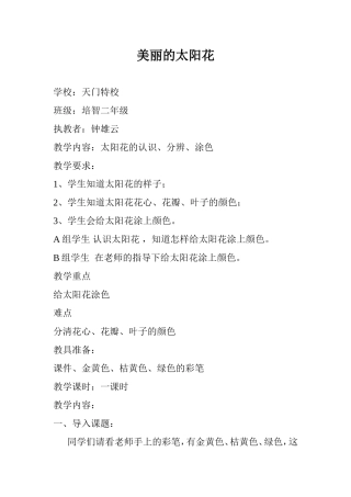 美丽的太阳花教案